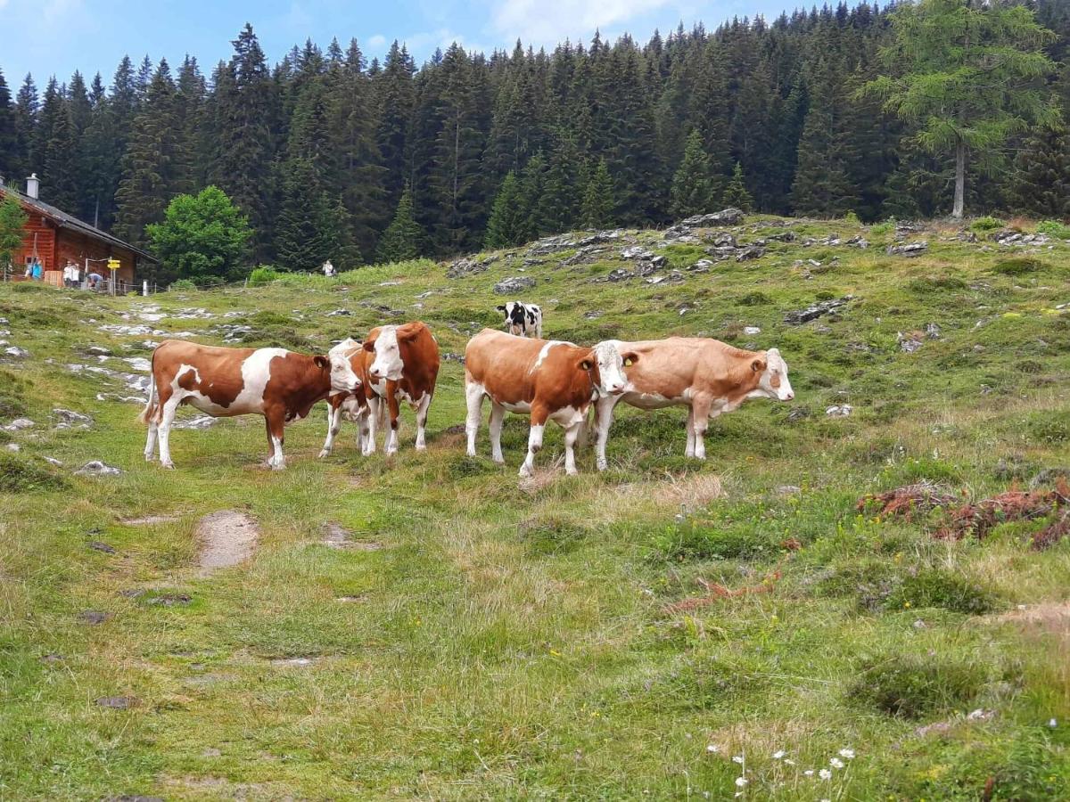 乌登斯Alpen Quartier公寓 外观 照片