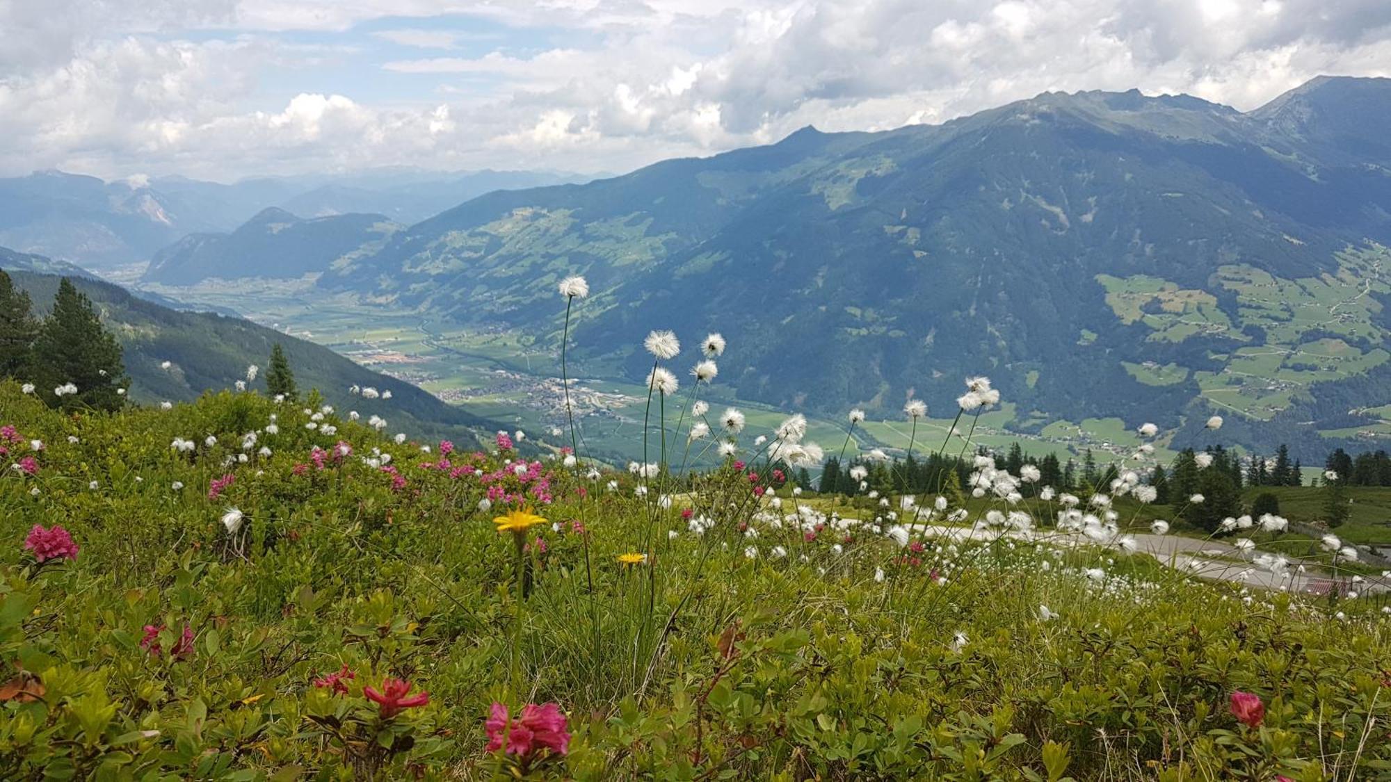 乌登斯Alpen Quartier公寓 外观 照片